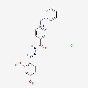 1-benzyl-4-{[2-(2,4-dihydroxybenzylidene)hydrazino]carbonyl}pyridinium chloride