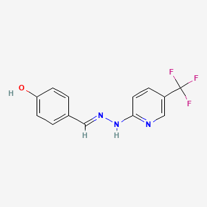 molecular formula C13H10F3N3O B3723369 4-hydroxybenzaldehyde [5-(trifluoromethyl)-2-pyridinyl]hydrazone 
