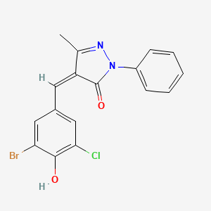 molecular formula C17H12BrClN2O2 B3724130 4-(3-bromo-5-chloro-4-hydroxybenzylidene)-5-methyl-2-phenyl-2,4-dihydro-3H-pyrazol-3-one 