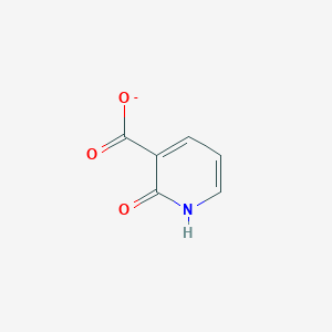 molecular formula C6H4NO3- B372478 Hydroxynicotinate 