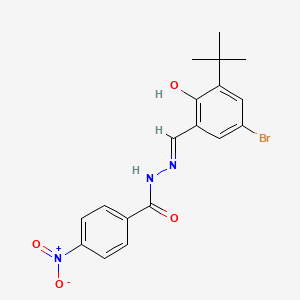 molecular formula C18H18BrN3O4 B3726439 N'-(5-bromo-3-tert-butyl-2-hydroxybenzylidene)-4-nitrobenzohydrazide 