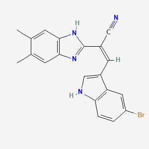 molecular formula C20H15BrN4 B3726664 3-(5-bromo-1H-indol-3-yl)-2-(5,6-dimethyl-1H-benzimidazol-2-yl)acrylonitrile 
