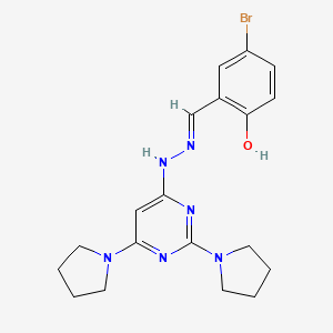 molecular formula C19H23BrN6O B3727080 5-bromo-2-hydroxybenzaldehyde (2,6-di-1-pyrrolidinyl-4-pyrimidinyl)hydrazone 
