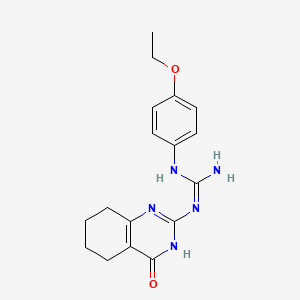 molecular formula C17H21N5O2 B3727706 N-(4-ethoxyphenyl)-N'-(4-oxo-1,4,5,6,7,8-hexahydro-2-quinazolinyl)guanidine 