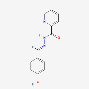 molecular formula C13H11N3O2 B3728464 N'-(4-hydroxybenzylidene)-2-pyridinecarbohydrazide 