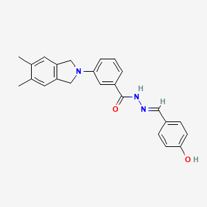 molecular formula C24H23N3O2 B3728515 3-(5,6-dimethyl-1,3-dihydro-2H-isoindol-2-yl)-N'-(4-hydroxybenzylidene)benzohydrazide 