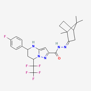 molecular formula C25H27F6N5O B3729291 5-(4-fluorophenyl)-7-(pentafluoroethyl)-N'-(1,7,7-trimethylbicyclo[2.2.1]hept-2-ylidene)-4,5,6,7-tetrahydropyrazolo[1,5-a]pyrimidine-2-carbohydrazide 