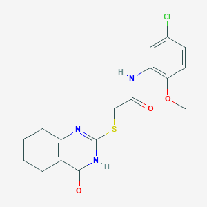 N-(5-chloro-2-methoxyphenyl)-2-[(4-oxo-3,4,5,6,7,8-hexahydro-2-quinazolinyl)thio]acetamide