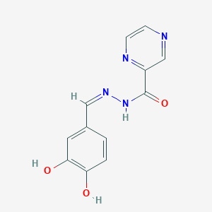 molecular formula C12H10N4O3 B3729817 N'-(3,4-dihydroxybenzylidene)-2-pyrazinecarbohydrazide 