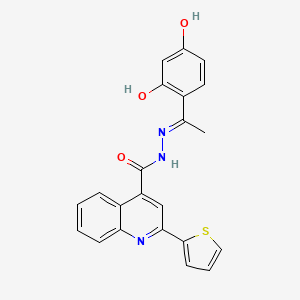 molecular formula C22H17N3O3S B3730186 N'-[1-(2,4-dihydroxyphenyl)ethylidene]-2-(2-thienyl)-4-quinolinecarbohydrazide 