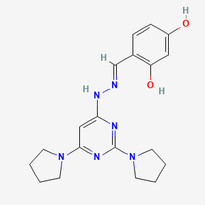 molecular formula C19H24N6O2 B3730742 2,4-dihydroxybenzaldehyde (2,6-di-1-pyrrolidinyl-4-pyrimidinyl)hydrazone 