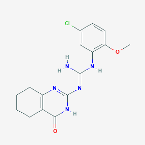 molecular formula C16H18ClN5O2 B3730966 N-(5-chloro-2-methoxyphenyl)-N'-(4-oxo-3,4,5,6,7,8-hexahydro-2-quinazolinyl)guanidine 