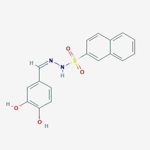molecular formula C17H14N2O4S B3731419 N'-(3,4-dihydroxybenzylidene)-2-naphthalenesulfonohydrazide 