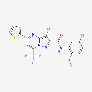 molecular formula C19H11Cl2F3N4O2S B3732702 3-chloro-N-(5-chloro-2-methoxyphenyl)-5-(2-thienyl)-7-(trifluoromethyl)pyrazolo[1,5-a]pyrimidine-2-carboxamide 