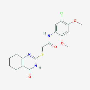N-(5-chloro-2,4-dimethoxyphenyl)-2-[(4-oxo-3,4,5,6,7,8-hexahydro-2-quinazolinyl)thio]acetamide