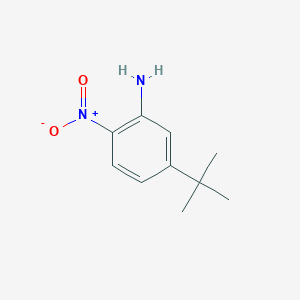 molecular formula C10H14N2O2 B373537 5-Tert-butyl-2-nitroaniline CAS No. 142564-53-2