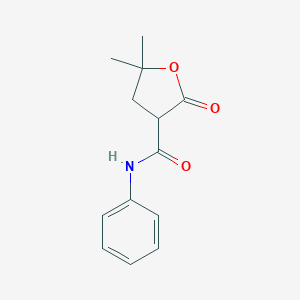 molecular formula C13H15NO3 B373560 5,5-dimethyl-2-oxo-N-phenyltetrahydro-3-furancarboxamide 