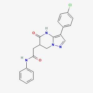 molecular formula C20H17ClN4O2 B3735782 2-[3-(4-chlorophenyl)-5-oxo-4,5,6,7-tetrahydropyrazolo[1,5-a]pyrimidin-6-yl]-N-phenylacetamide 
