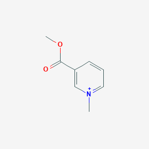 molecular formula C8H10NO2+ B373778 3-(Methoxycarbonyl)-1-methylpyridinium 