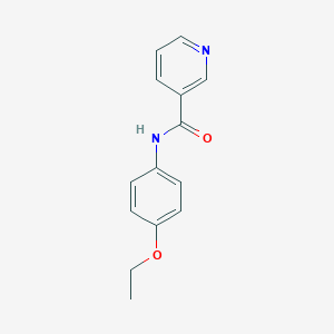 molecular formula C14H14N2O2 B374185 N-(4-ethoxyphenyl)pyridine-3-carboxamide CAS No. 2326-77-4