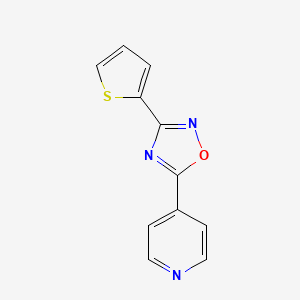 4-[3-(2-thienyl)-1,2,4-oxadiazol-5-yl]pyridine