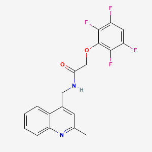 molecular formula C19H14F4N2O2 B3746183 N-[(2-methyl-4-quinolinyl)methyl]-2-(2,3,5,6-tetrafluorophenoxy)acetamide 