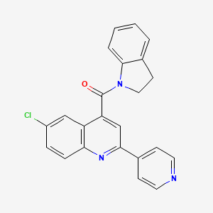 molecular formula C23H16ClN3O B3749150 6-chloro-4-(2,3-dihydro-1H-indol-1-ylcarbonyl)-2-(4-pyridinyl)quinoline 
