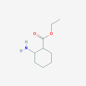 molecular formula C9H17NO2 B374930 2-氨基环己烷甲酸乙酯 CAS No. 64162-07-8