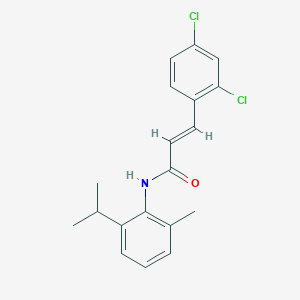 molecular formula C19H19Cl2NO B3751298 3-(2,4-dichlorophenyl)-N-(2-isopropyl-6-methylphenyl)acrylamide 