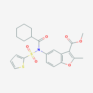 Methyl 5-[(cyclohexylcarbonyl)(2-thienylsulfonyl)amino]-2-methyl-1-benzofuran-3-carboxylate