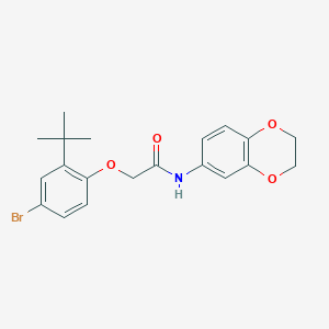 2-(4-bromo-2-tert-butylphenoxy)-N-(2,3-dihydro-1,4-benzodioxin-6-yl)acetamide