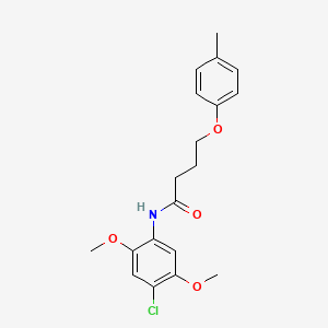 molecular formula C19H22ClNO4 B3753539 N-(4-chloro-2,5-dimethoxyphenyl)-4-(4-methylphenoxy)butanamide 