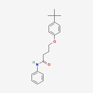 4-(4-tert-butylphenoxy)-N-phenylbutanamide