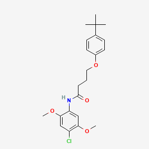 4-(4-tert-butylphenoxy)-N-(4-chloro-2,5-dimethoxyphenyl)butanamide