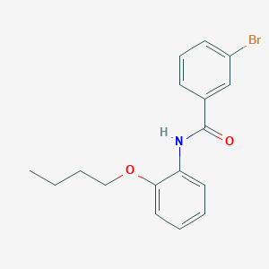 molecular formula C17H18BrNO2 B3756042 3-bromo-N-(2-butoxyphenyl)benzamide 