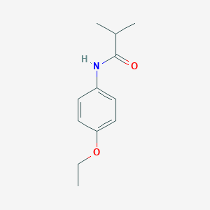 molecular formula C12H17NO2 B375628 N-(4-ethoxyphenyl)-2-methylpropanamide 