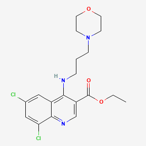 molecular formula C19H23Cl2N3O3 B3757275 MFCD02968676 