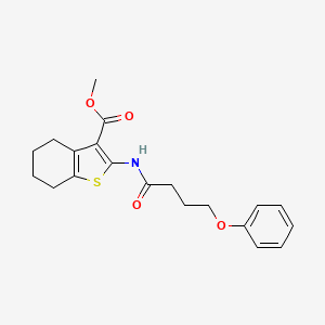 methyl 2-[(4-phenoxybutanoyl)amino]-4,5,6,7-tetrahydro-1-benzothiophene-3-carboxylate