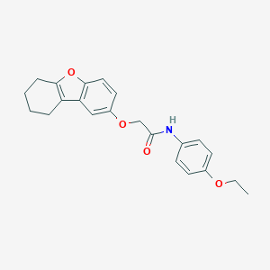 molecular formula C22H23NO4 B376510 N-(4-ethoxyphenyl)-2-(6,7,8,9-tetrahydrodibenzofuran-2-yloxy)acetamide CAS No. 443320-46-5