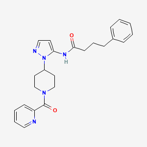 molecular formula C24H27N5O2 B3779374 4-phenyl-N-{1-[1-(2-pyridinylcarbonyl)-4-piperidinyl]-1H-pyrazol-5-yl}butanamide 