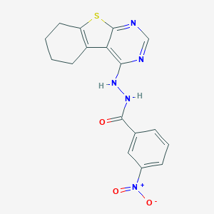 B377963 3-nitro-N'-(5,6,7,8-tetrahydro[1]benzothieno[2,3-d]pyrimidin-4-yl)benzohydrazide CAS No. 304474-86-0