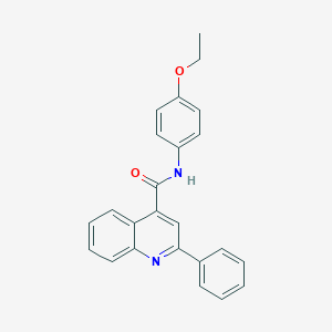 molecular formula C24H20N2O2 B377971 N-(4-ethoxyphenyl)-2-phenylquinoline-4-carboxamide CAS No. 349400-22-2