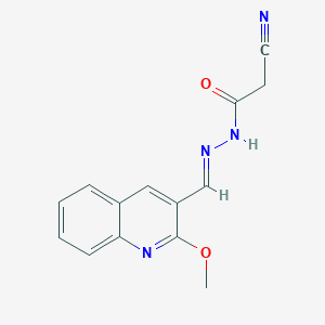 molecular formula C14H12N4O2 B378217 2-cyano-N'-[(E)-(2-methoxyquinolin-3-yl)methylidene]acetohydrazide 