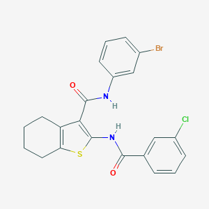 molecular formula C22H18BrClN2O2S B378291 N-(3-bromophenyl)-2-[(3-chlorobenzoyl)amino]-4,5,6,7-tetrahydro-1-benzothiophene-3-carboxamide CAS No. 333358-85-3