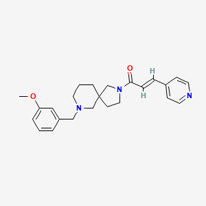 molecular formula C24H29N3O2 B3783680 7-(3-methoxybenzyl)-2-[(2E)-3-(4-pyridinyl)-2-propenoyl]-2,7-diazaspiro[4.5]decane 