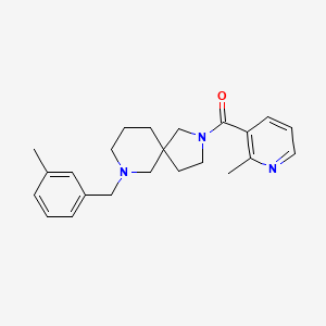 molecular formula C23H29N3O B3784699 7-(3-methylbenzyl)-2-[(2-methyl-3-pyridinyl)carbonyl]-2,7-diazaspiro[4.5]decane 