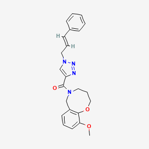 molecular formula C23H24N4O3 B3789309 10-methoxy-5-({1-[(2E)-3-phenyl-2-propen-1-yl]-1H-1,2,3-triazol-4-yl}carbonyl)-3,4,5,6-tetrahydro-2H-1,5-benzoxazocine 