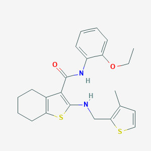 N-(2-ethoxyphenyl)-2-{[(3-methyl-2-thienyl)methyl]amino}-4,5,6,7-tetrahydro-1-benzothiophene-3-carboxamide