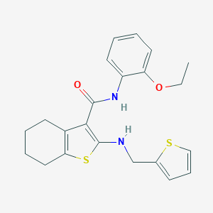 N-(2-ethoxyphenyl)-2-[(2-thienylmethyl)amino]-4,5,6,7-tetrahydro-1-benzothiophene-3-carboxamide