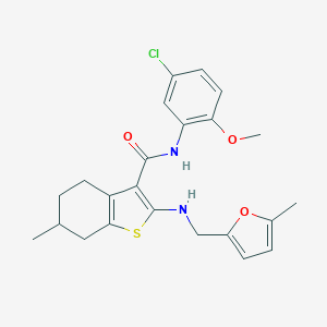 molecular formula C23H25ClN2O3S B379095 N-(5-chloro-2-methoxyphenyl)-6-methyl-2-{[(5-methyl-2-furyl)methyl]amino}-4,5,6,7-tetrahydro-1-benzothiophene-3-carboxamide 